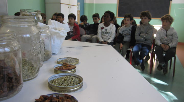 20 marzo 2019: Il laboratorio delle erbe officinali